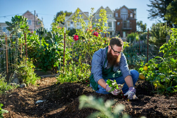 Gardener